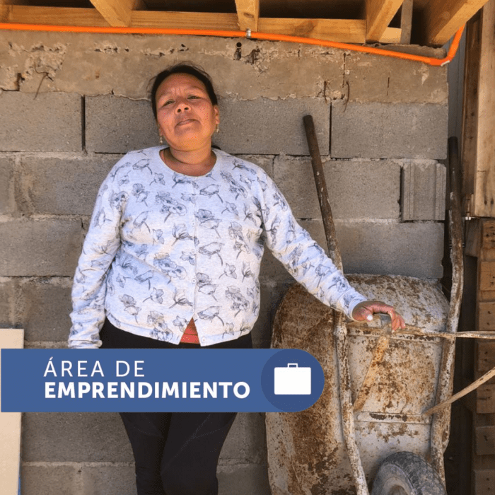 causa patricia, emprendedora costura viña